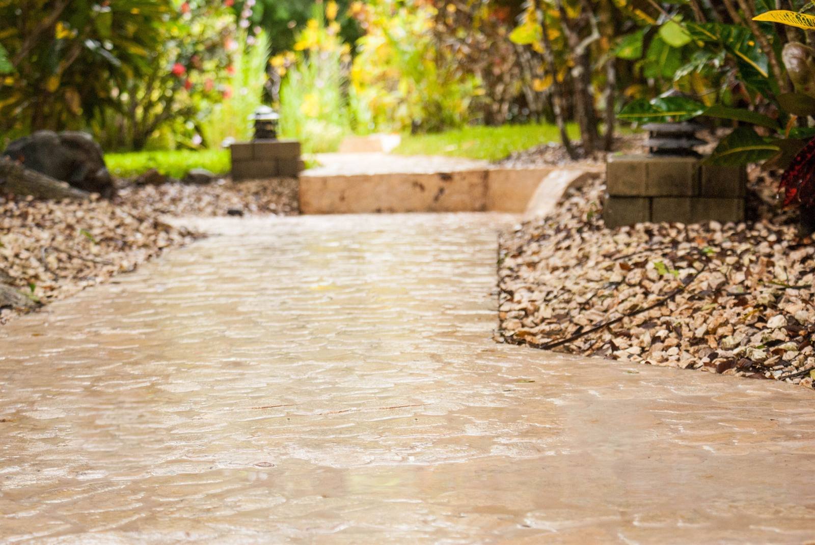 Stone path through the garden with a water fountain and steps